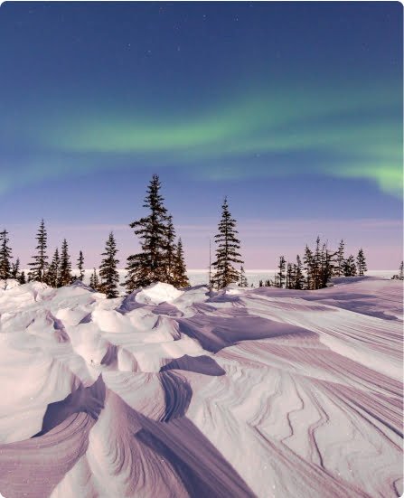 البرامج السياحية