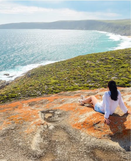 استقبال من والى المطار 